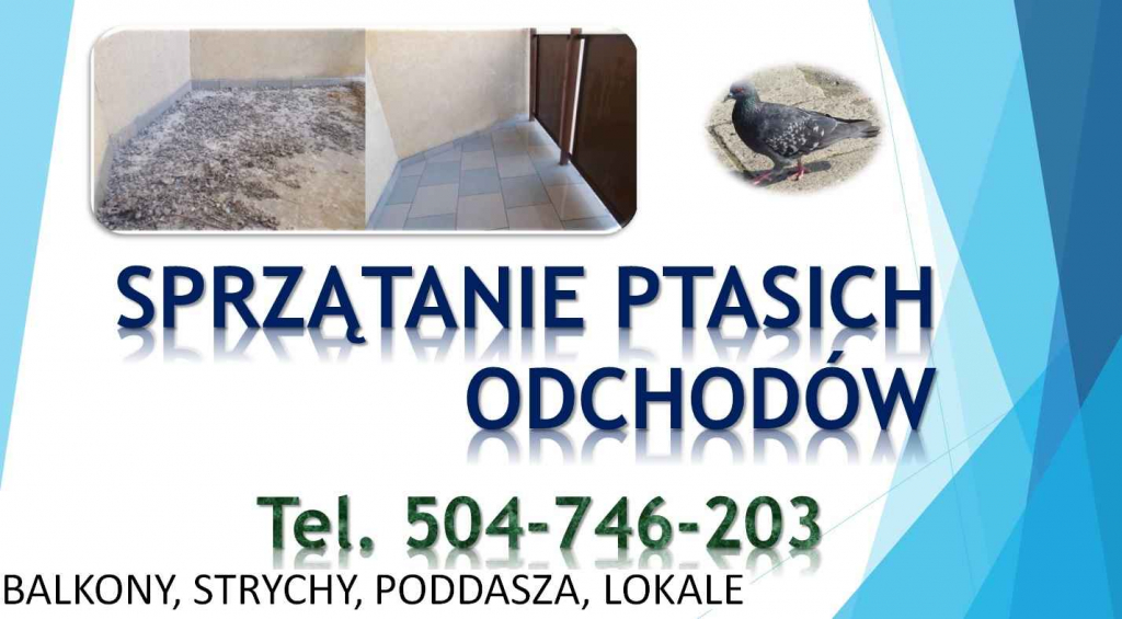 Czyszczenie po gołębiach, t. 504-746-203, sprzątanie ptasich odchodów Psie Pole - zdjęcie 7