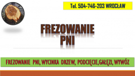 Frezowanie pni, cena, tel. 504-746-203, Wrocław, usuwanie pnia. Psie Pole - zdjęcie 4