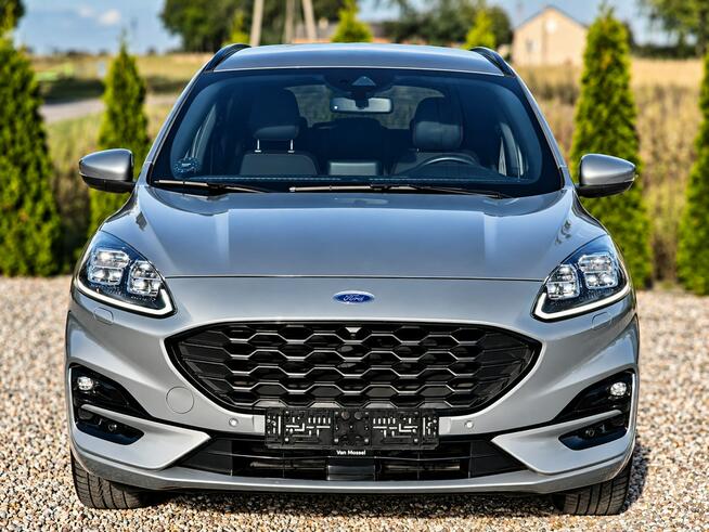 Ford Kuga Sadlno - zdjęcie 2