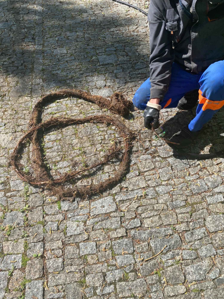 Wycinanie Korzeni UDRAŻNIANIE NAPRAWA KANALIZACJI  KINGKAN 787342182 Otwock - zdjęcie 7
