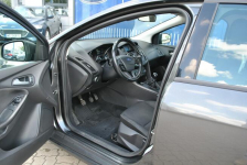 Hatchback GoldX 1,6 Benzyna 105KM ASO Forda Białystok - zdjęcie 12