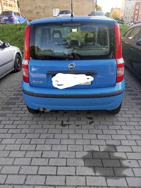 Fiat Panda Bielsko-Biała - zdjęcie 5