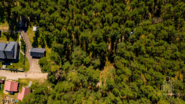 Urokliwa działka w zaciszu lasu w Koźlikach!!! Koźliki - zdjęcie 6