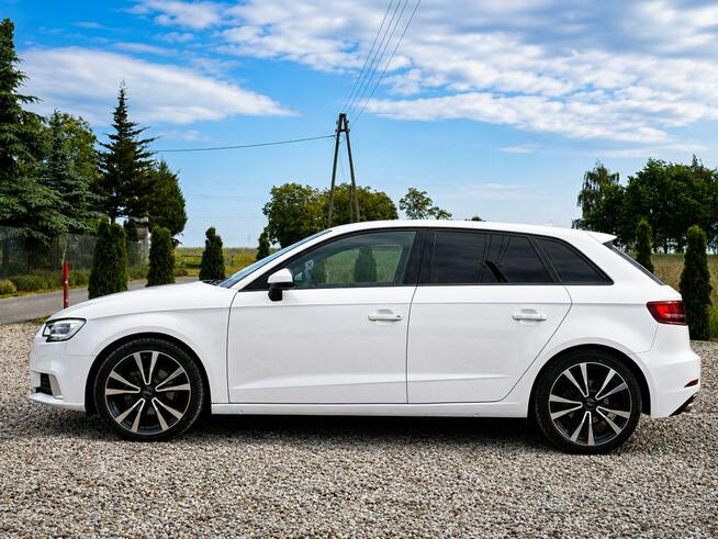 Audi A3 Sadlno - zdjęcie 5