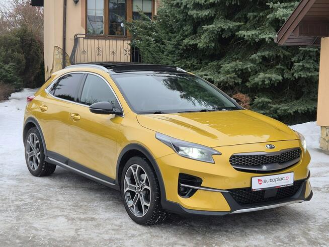 Kia XCeed 2020r, Full Opcja, Przepiękny, Bezwypadkowy* Stan BDB Radom - zdjęcie 2