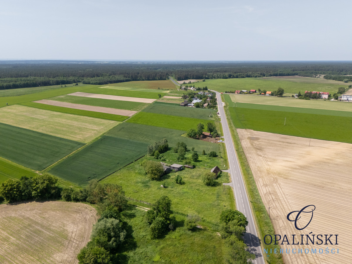 Działka budowlana 63 ar | uzbrojona | z budynkami Stare Sioło - zdjęcie 5