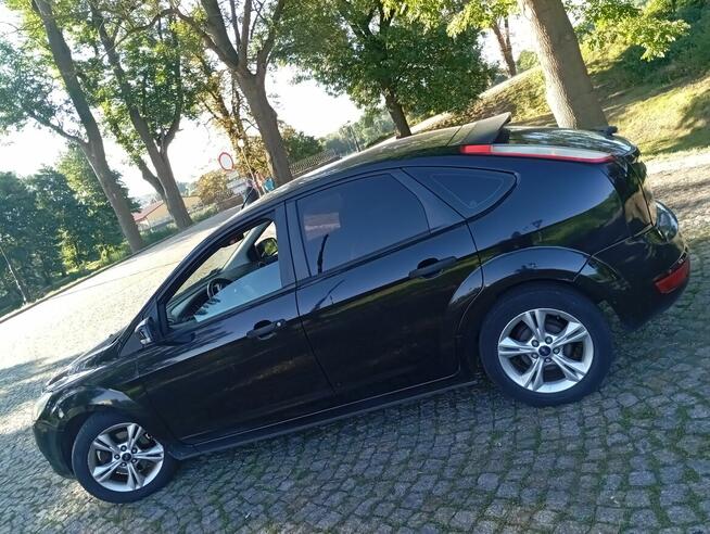 FOCUS/LIFT/SALON-POLSKA/SPRAWNY/1.6/BENZYNA/ Gostynin - zdjęcie 4