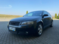 Audi A3 Zamiana - 2003 r - 1.6 benzyna