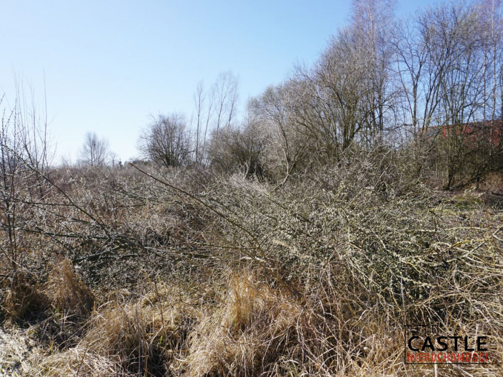 Wiślinka I pod budowę I obok Sol Marina Gdańsk - zdjęcie 6