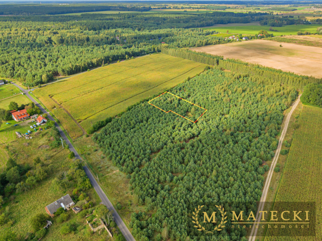 Wyjątkowa, duża działka z drzewami Karczewko - zdjęcie 8