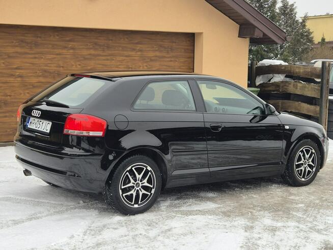 Audi A3 2008, 1.6B 102KM, Bardzo Zadbany, Z Niemiec-Zarejestrowany Radom - zdjęcie 4