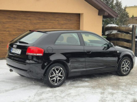 Audi A3 2008, 1.6B 102KM, Bardzo Zadbany, Z Niemiec-Zarejestrowany Radom - zdjęcie 4