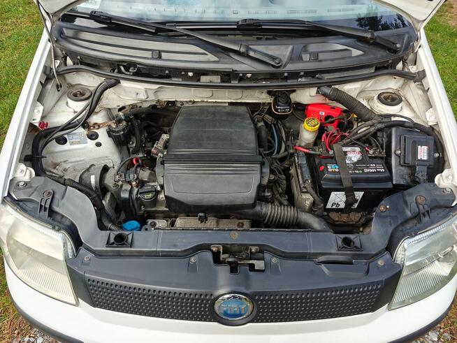 Fiat Panda Jurków - zdjęcie 10