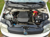 Fiat Panda Jurków - zdjęcie 10