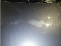 Ford Focus I sprzedaż syndyka Gryfice - zdjęcie 8