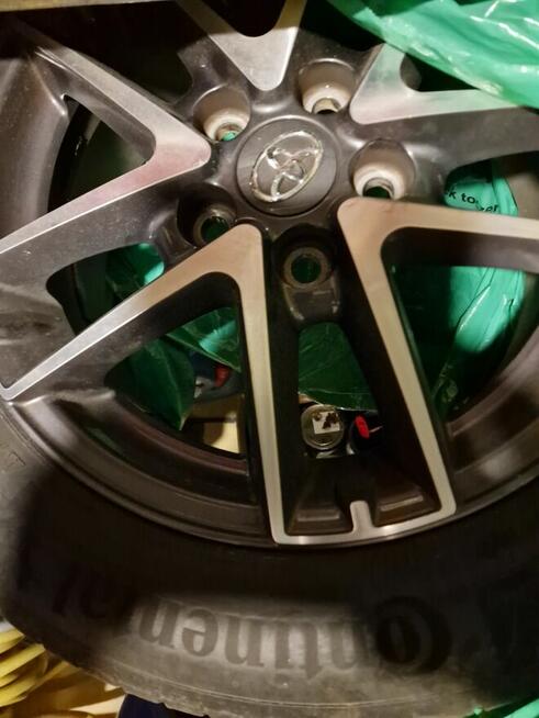 Hybryda Legnica - zdjęcie 9