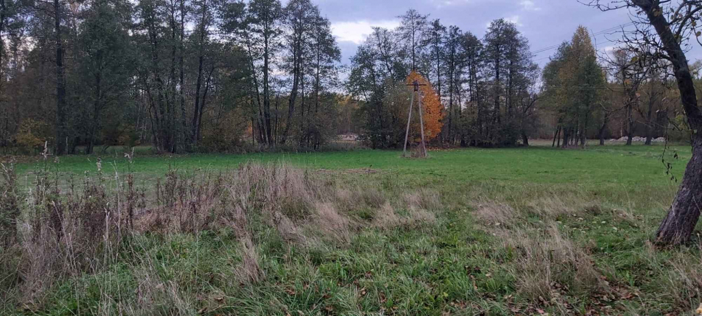 Gospodarstwo rolne Przymiłów - zdjęcie 2