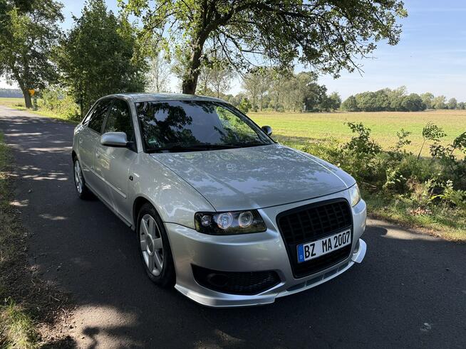 Audi A3 1.6 MPI 102KM Klima Zadbany Sprawny Ocice - zdjęcie 2