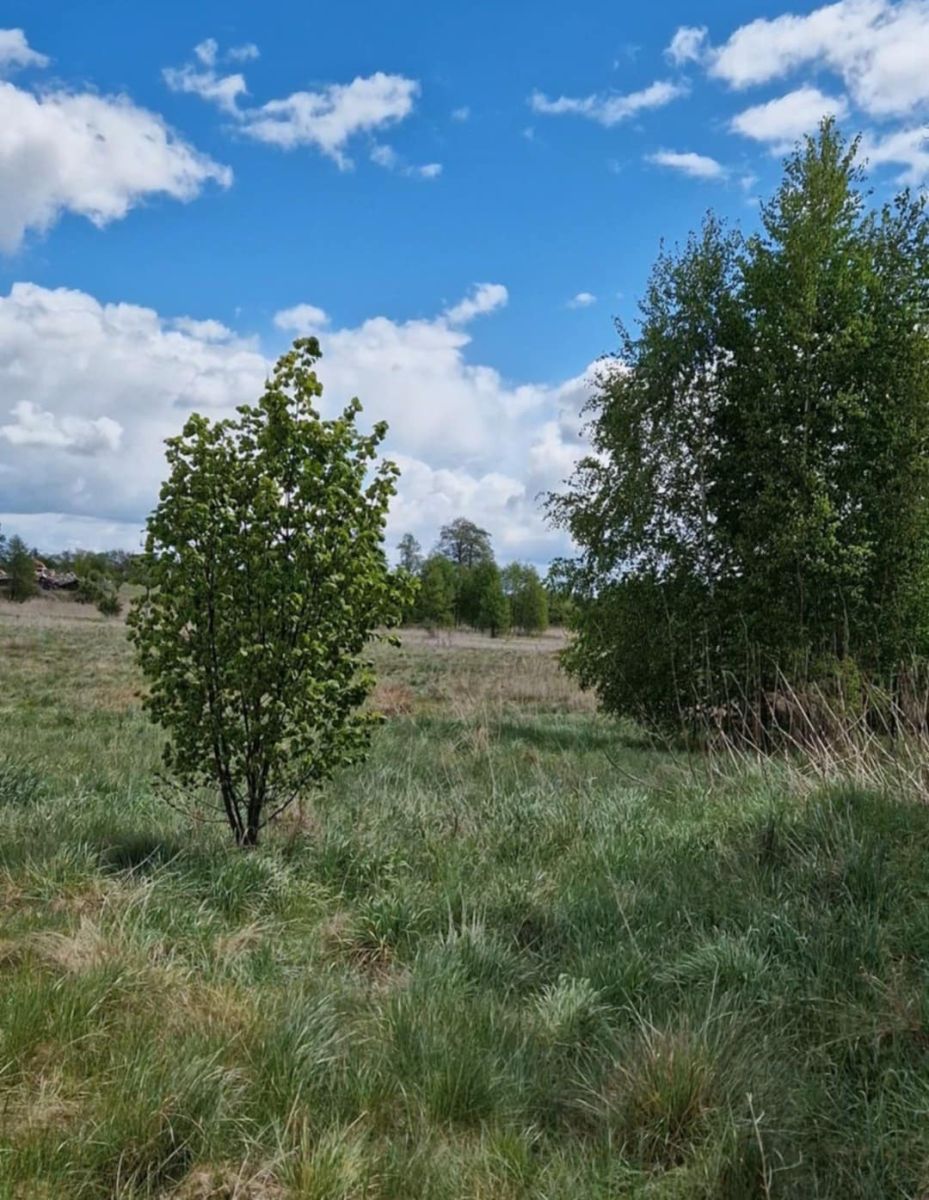 Działka rolno-budowlana 5226m2 Bielsk Podlaski Bielsk Podlaski - zdjęcie 5