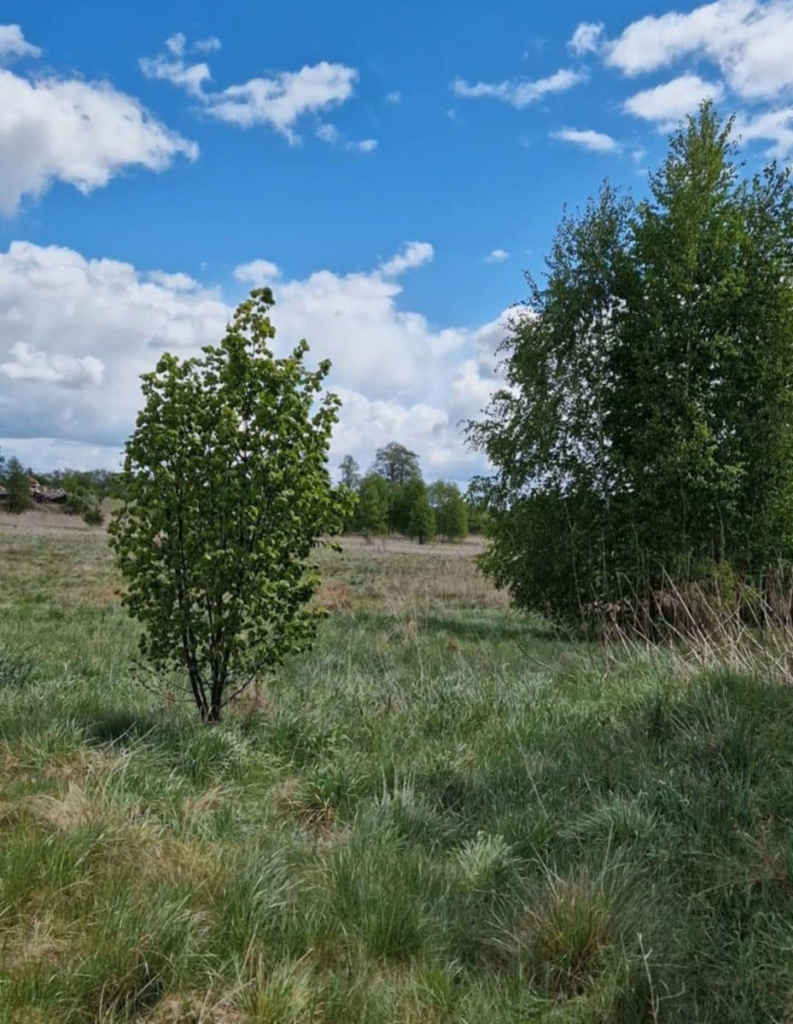 Działka rolno-budowlana 5226m2 Bielsk Podlaski Bielsk Podlaski - zdjęcie 5