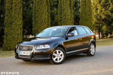 Audi A3 1.6MPI*102KM Ostrów Mazowiecka - zdjęcie 4