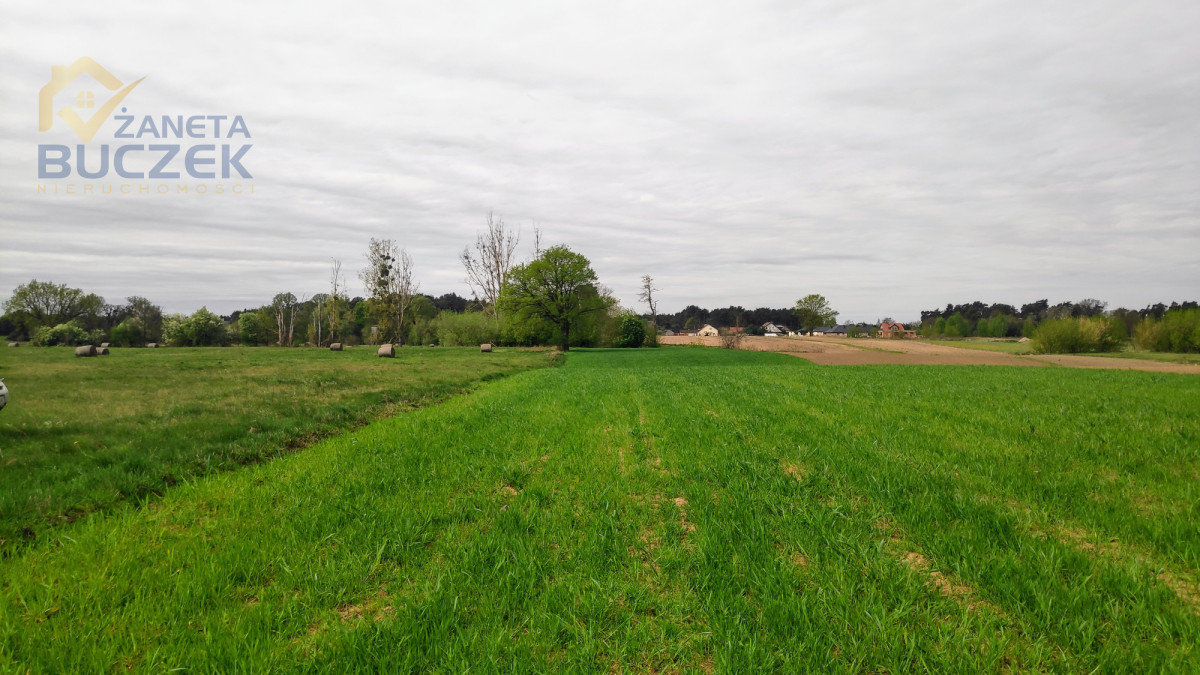 Sprzedam działkę w Helence, w gminie Młodzieszyn Helenka - zdjęcie 4