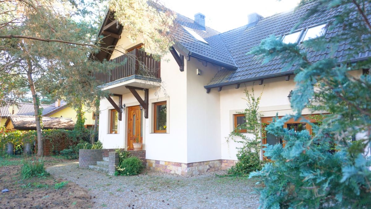 Zamieszkaj pod lasem Kalina - zdjęcie 2