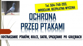 Odstraszanie gołębi, Wrocław, tel. 504-746-203. Płoszenie ptaków, cena Psie Pole - zdjęcie 1