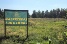 Działka nad jeziorem Rajgrodzkim* Stacze*3001m2* Stacze - zdjęcie 7