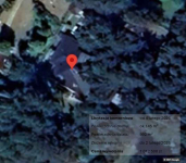 Licytacja komornicza, współczesny, drzewostan