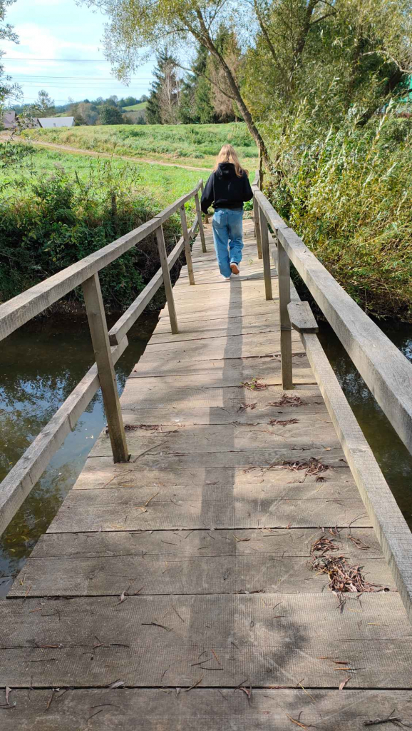 Działka rolna 28 ha. Brzuska - zdjęcie 10