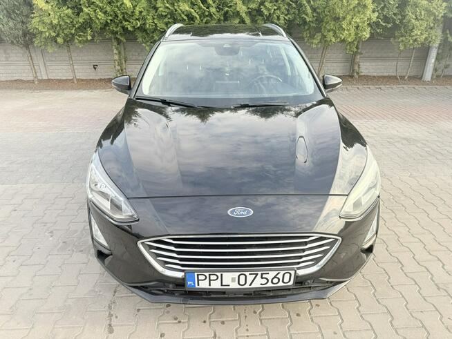 Ford Focus Zielona Łąka - zdjęcie 2