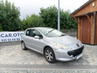Peugeot 307 1.6 HDI 109 KM Zarejestrowany Oryginalny Przebieg