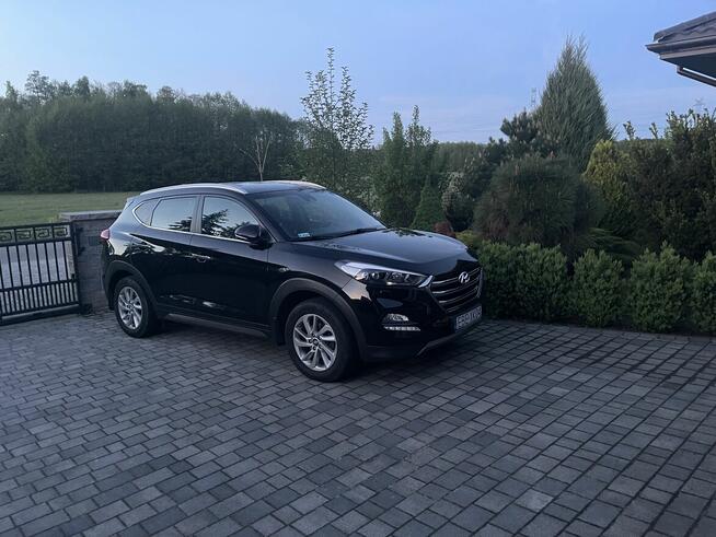 Sprzedaż auta Bełchatów - zdjęcie 1