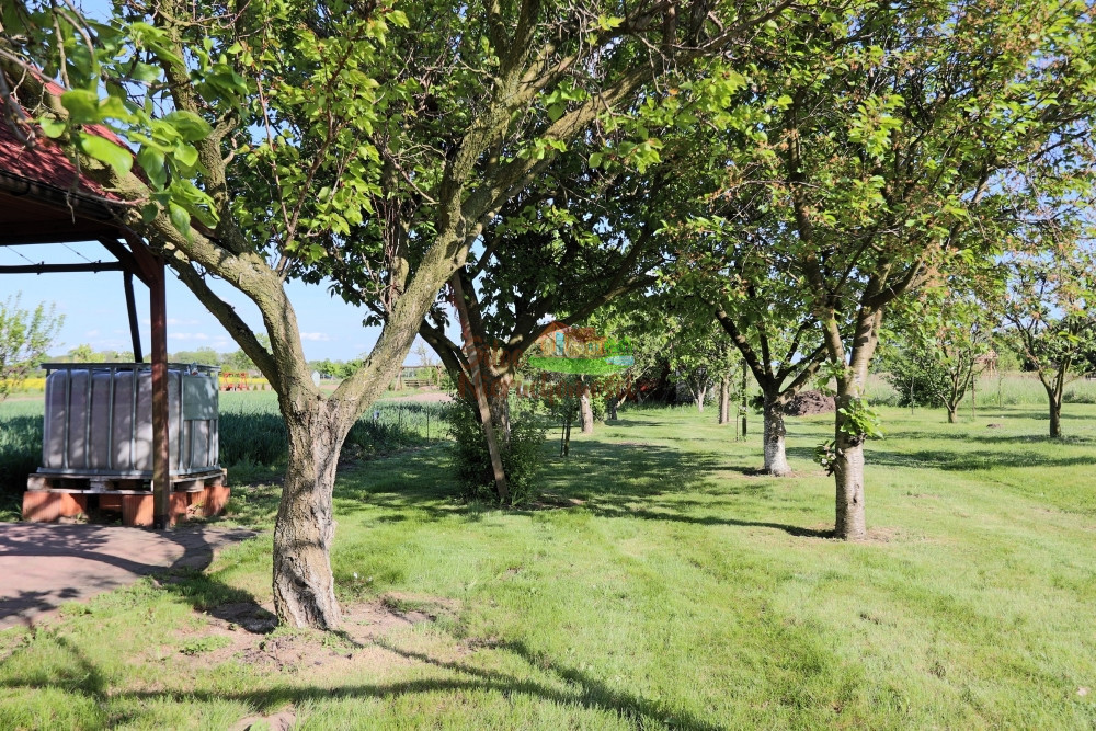 działka 5ar z altaną, zadbana, z drzewami owocowym Jędrzychowice - zdjęcie 2