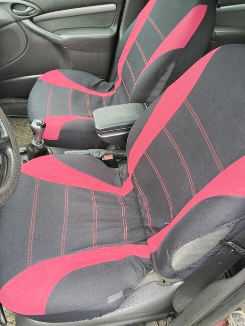 Tania Foczka Brzyków - zdjęcie 5