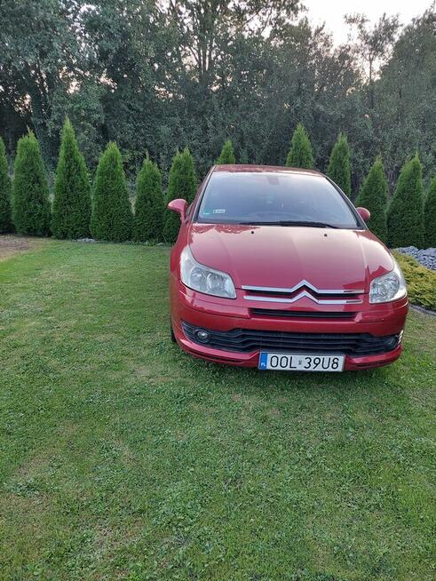 Sprzedam Wieluń - zdjęcie 2