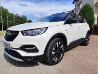 Opel Grandland X 2020/SALON POLSKA/1 WŁ/serwis ASO/gwarancja Ełk - zdjęcie 11