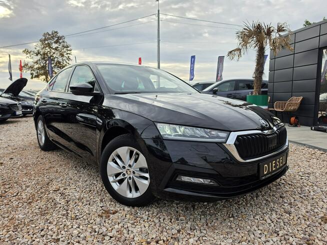 #Skoda#Octavia#Sedan#2.0#TDI#NAVI#PDC.TYL.PRZOD#LED#ALU#SUPERSTAN# Nowe Sójki - zdjęcie 4