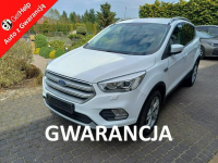 Ford Kuga zadbany, serwisowany, bogata wersja, GWARANCJA