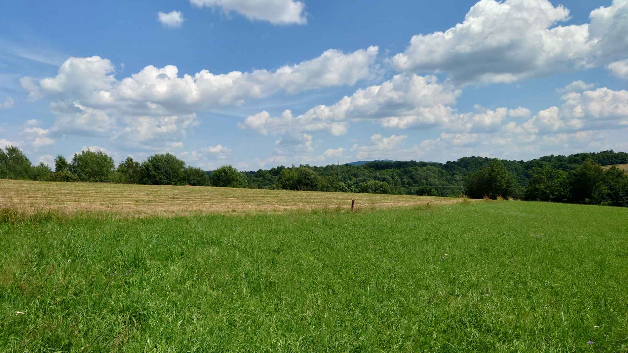 Działka BUDOWLANA, Bieszczady, Bóbrka, k. SOLINA Bóbrka - zdjęcie 5