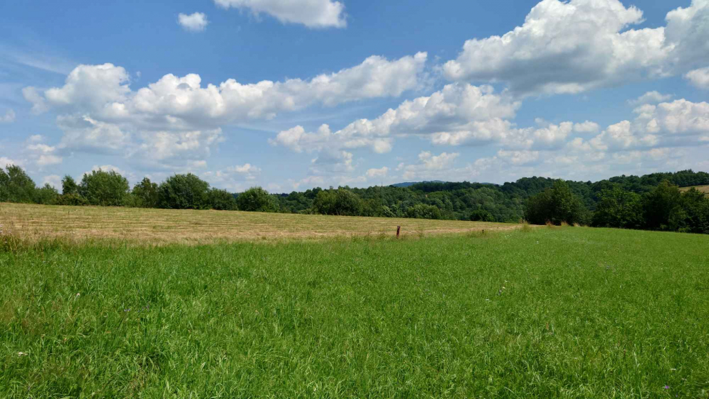 Działka BUDOWLANA, Bieszczady, Bóbrka, k. SOLINA Bóbrka - zdjęcie 5
