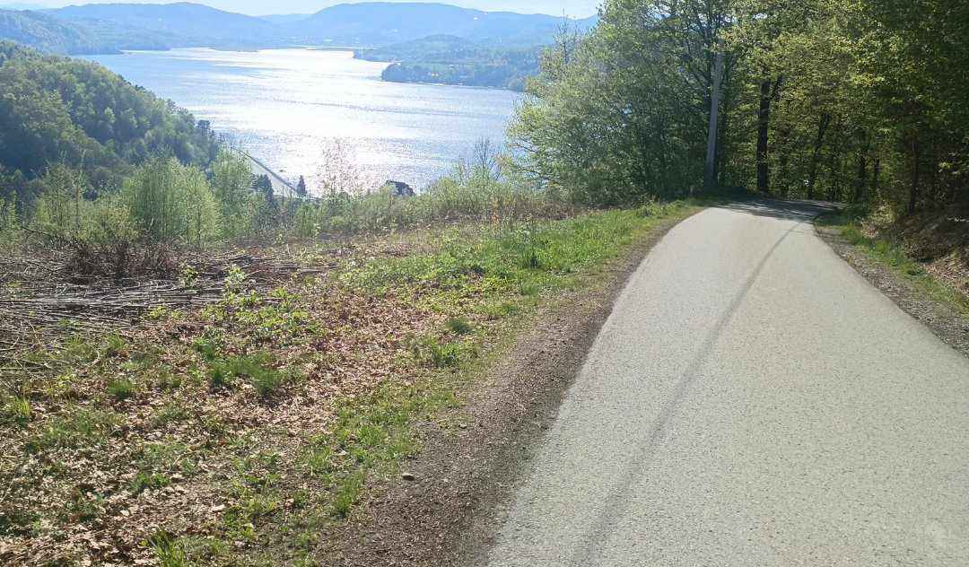 Sprzedam działkę Gródek nad Dunajcem - zdjęcie 1