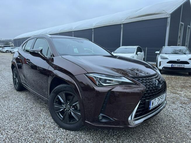 Lexus UX 250H 43 tyś km Ast. Pasa Distronic kamera Super Otwock Mały - zdjęcie 2