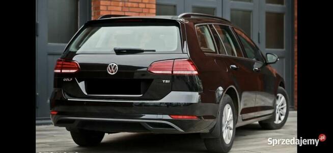 Volkswagen Golf VII 1.0 TSI Alu Klima Tempomat Grzane fotele Gorzów Wielkopolski - zdjęcie 3