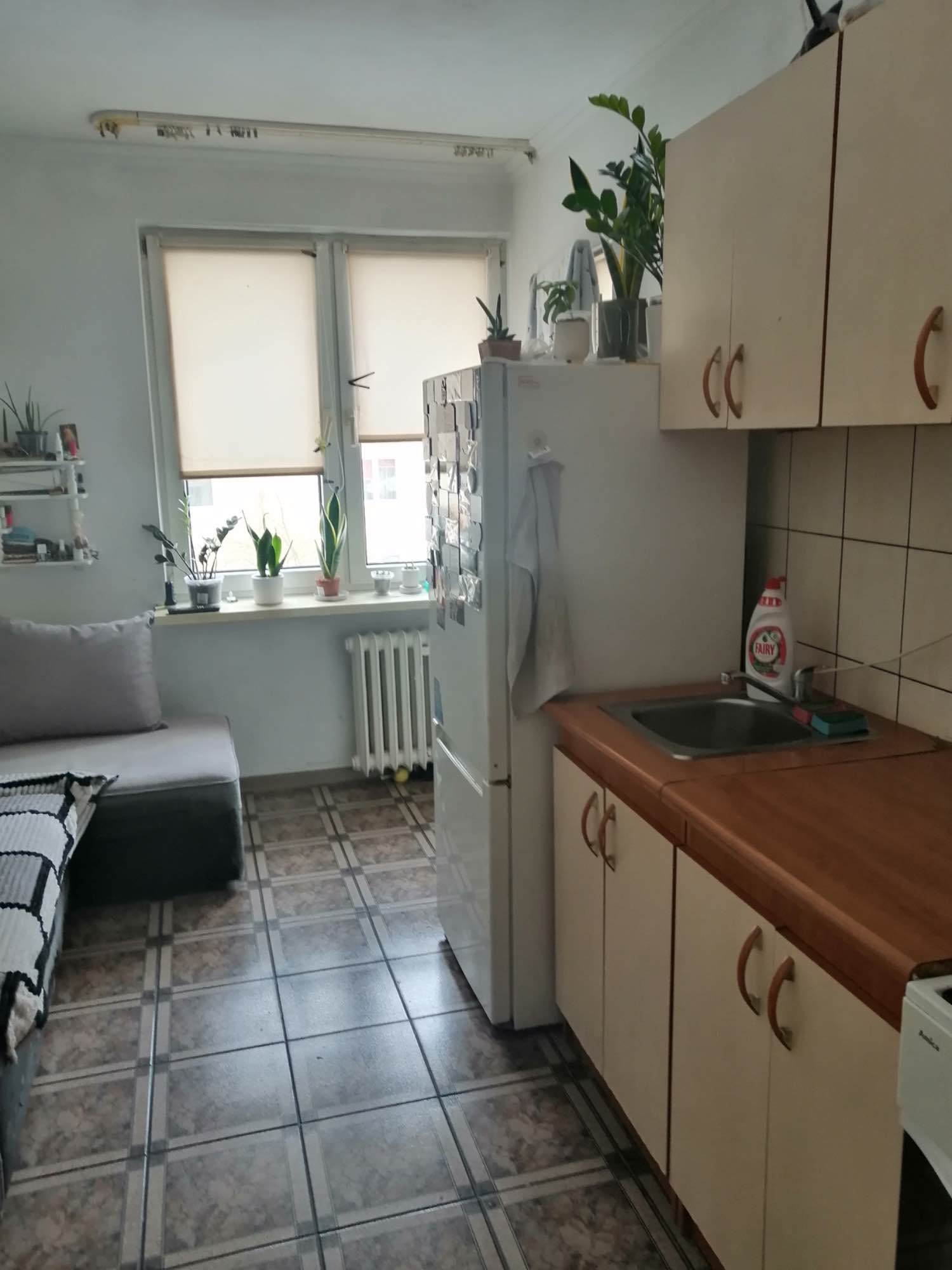 Mieszkanie do wynajęcia - dostępne od marca Puławy - zdjęcie 2