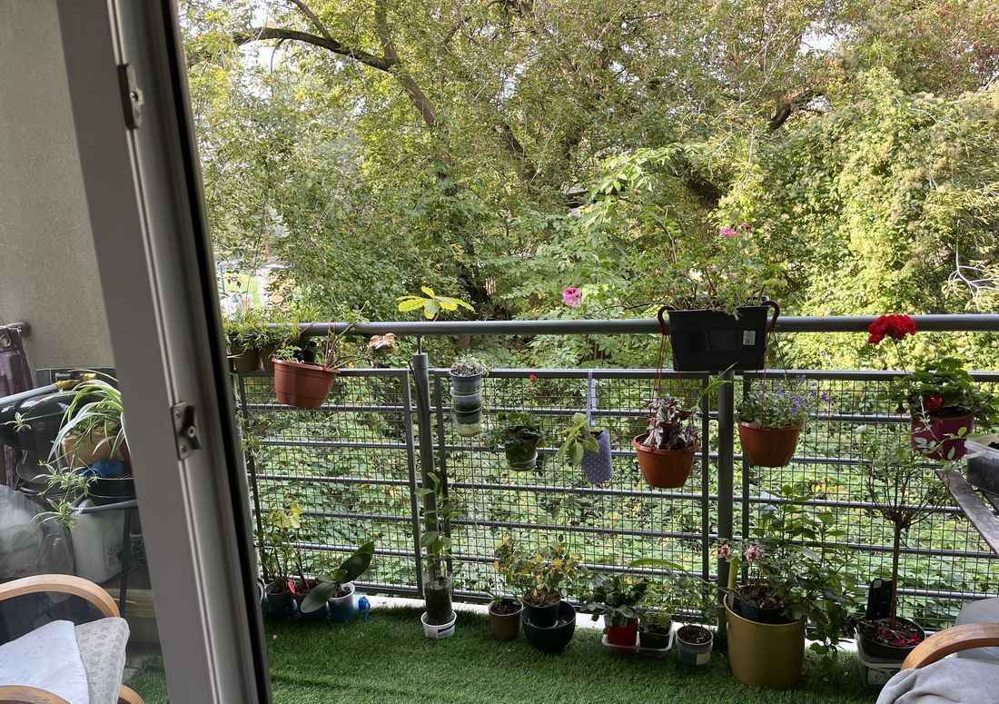 1pok, 20met, okolice Rakowieckiej BALKON/MP (Wrocław) Krzyki - zdjęcie 7