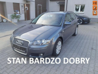 Audi A3 1.6i  103 PS MPI alufelgi klimatronik parktronik stan BDB Gryfino - zdjęcie 1