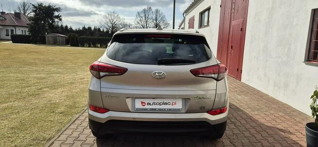 Hyundai Tucson MEDIA-BLUETOOTH Paproć - zdjęcie 7