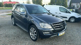 Mercedes ML 350 navi, automat, 4matic, zarejestrowany! Zbąszyń - zdjęcie 2